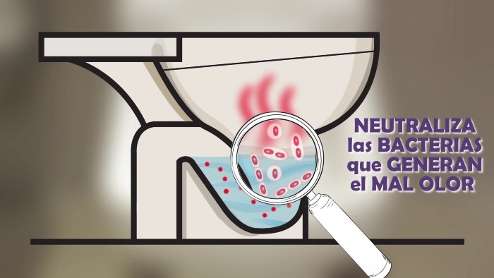 Solución de neutralización de olores ProHygiene